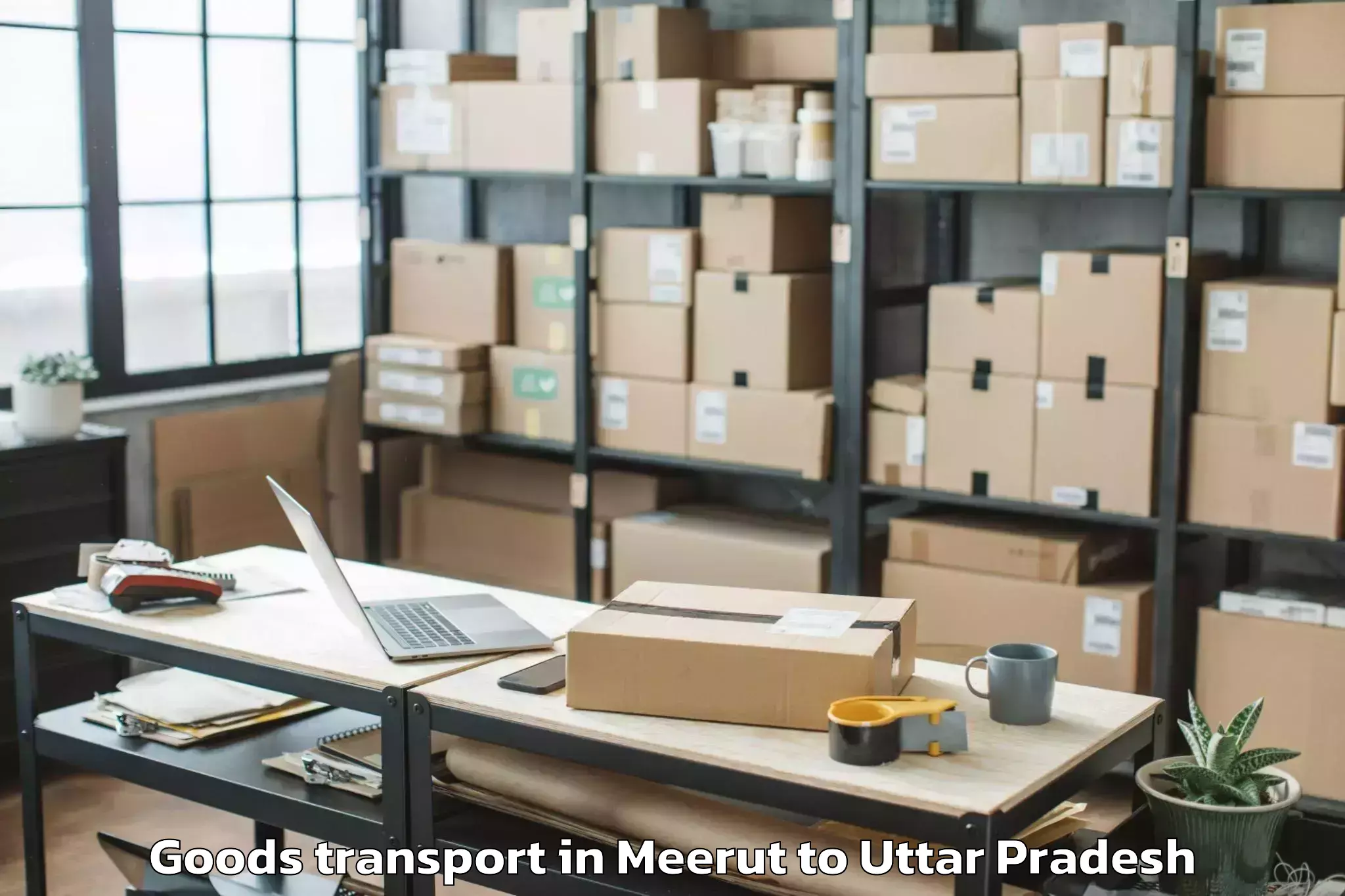 Meerut to Bajna Goods Transport Booking